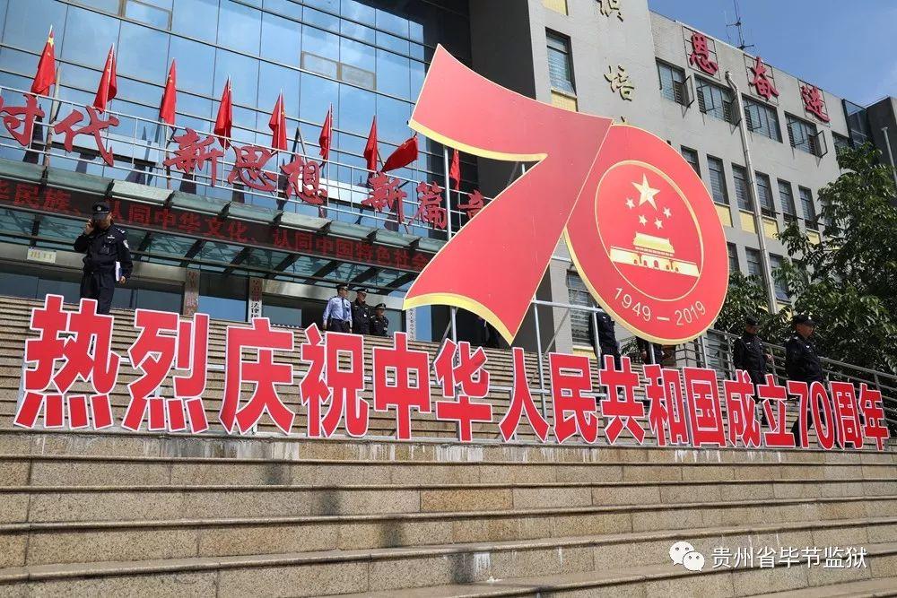 奥利维亚收养猫